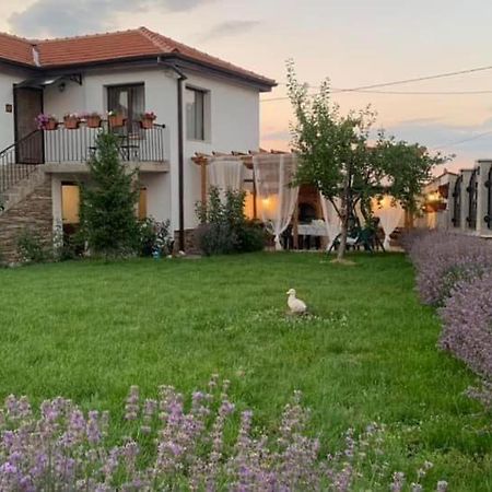 Villa Anika Mezek Экстерьер фото