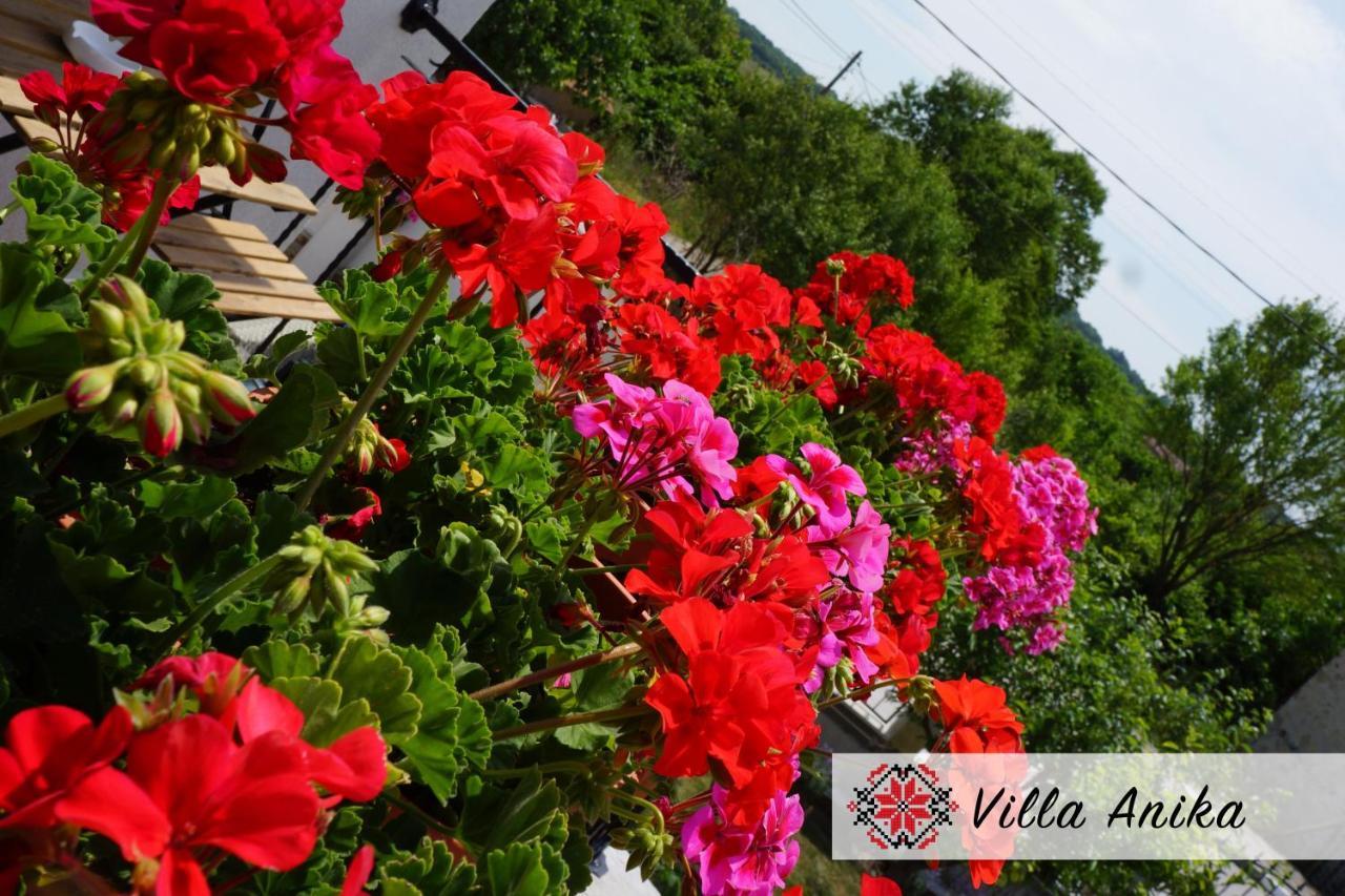 Villa Anika Mezek Экстерьер фото